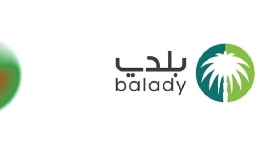بلدي